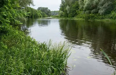 река Ворскла, село Яблочное. - YouTube