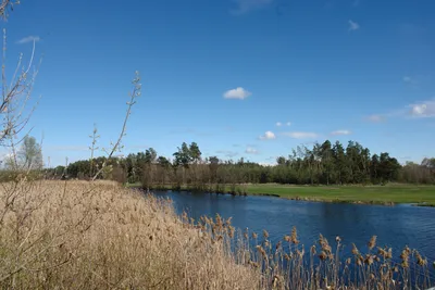 Сплав по Ворскле