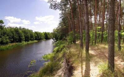 Одна из самых больших рек Левобережной Украины: история Ворсклы