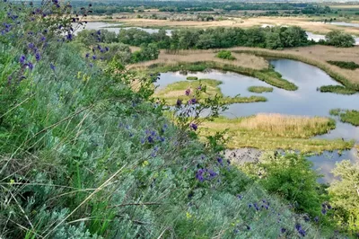 Очищать белгородские реки начнут с Ворсклы в Борисовском районе