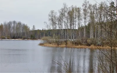 Отели реки Вуокса-Вирта на новый год с детьми - отдых с маленькими детьми  на Новый год 2025