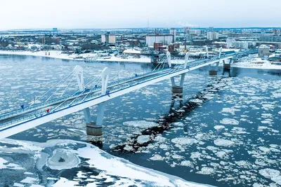 Нефтепроводчики выпустили молодь сазана в реку Зея Амурской области -  Российская газета