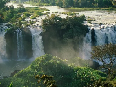 Смотреть Дикие реки Африки / Wild Africa. Rivers of Life (2018) онлайн  бесплатно на filmix