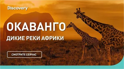 Куда делись реки, озера и города средневековой Африки? Часть 3. | Доказано  или нет? | Дзен