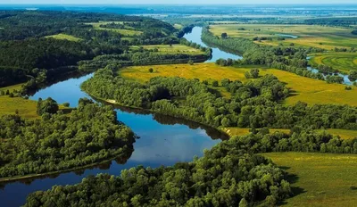Названы самые загрязненные реки Беларуси