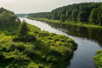 Белорусские реки (54 фото) - 54 фото