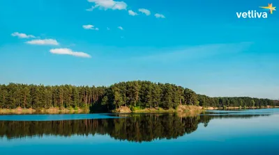 Реки Беларуси. Карта Республики Беларусь. Атлас рек и озер. Крупные реки  Беларуси. Реки: Днепр, Западная Двина, Неман, Вилия, Березина, Сож,  Припять. Доклад. Картинка. показать на карте минска