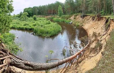 Топ-9 рек Беларуси для сплавов на байдарке | Про Беларусь