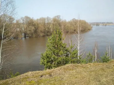 Названы самые чистые реки Беларуси