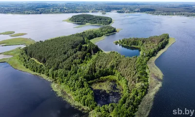 В Минприроды назвали самые чистые и грязные реки Беларуси – REFORM.by