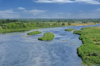 Белстат составил список самых чистых рек Беларуси. Но это не точно |  Новости Беларуси | euroradio.fm