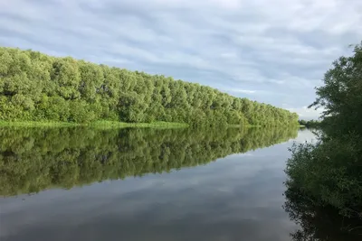 Река Бобр удивительное место для похода на карте Беларуси