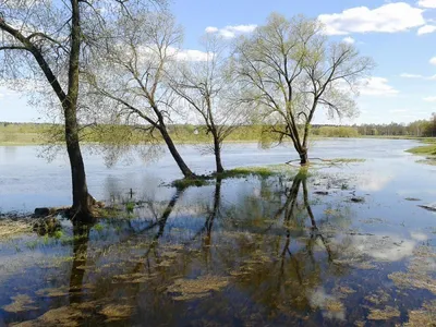 В Беларуси и России прошли уроки, посвященные Международному дню рек