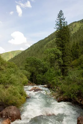 Самые большие реки Казахстана: Длинные водные артерии и их фото