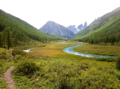 Почему реки вышли из берегов посреди зимы на востоке Казахстана?