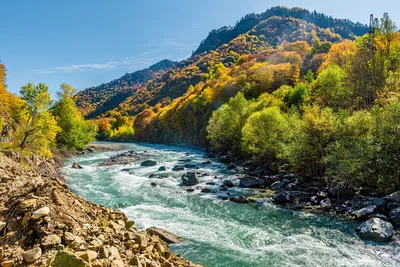 Самые длинные и большие (крупные) реки в мире