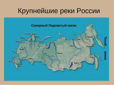 Самые длинные реки России: Топ-10 крупнейших