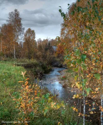 Реки Сибири. Река Енисей с высоты …» — создано в Шедевруме