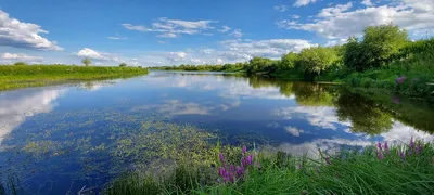 Реки Сибири повернут в Китай | Анализатор | Дзен