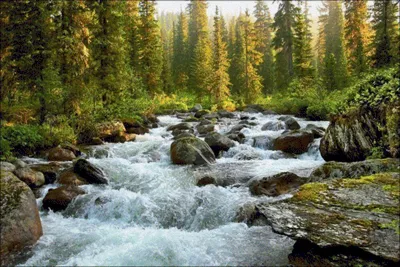 Реки Сибири - фото и картинки: 60 штук