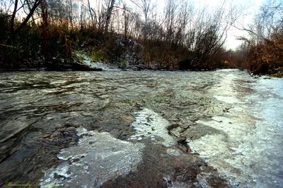Реки Сибири зимой» — создано в Шедевруме