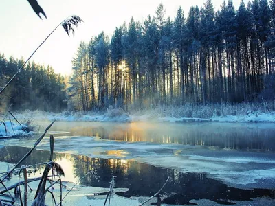 Великие реки Сибири | сибирь удивительная | Дзен