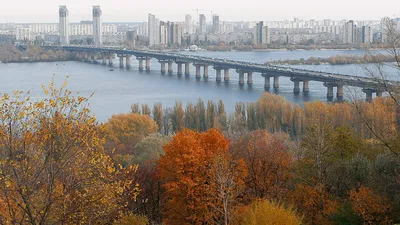 Состояние рек в Украине катастрофическое — экологические активисты бьют  тревогу / NV