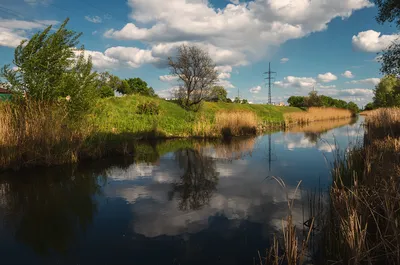 Картинки Украина Nedayvoda Dnipropetrovsk Oblast Природа река