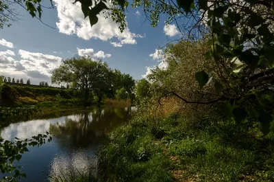 В Украине предупредили об угрозе затопления - в реке Днепр поднялся уровень  воды - 24 Канал