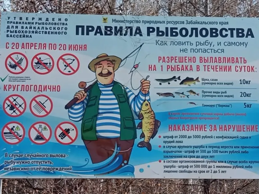 Какие запреты на рыбалку в 2024 году