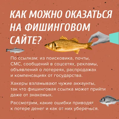 Коллекция изолированное рыбы Рыбный ресторан Реклама магазина  морепродуктов. Стоковое Фото - изображение насчитывающей радуга, кефаль:  199809286