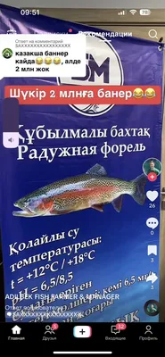 Рыбная тема: сервируем новогодний стол рыбой и морепродуктами | ОБЩЕСТВО |  АиФ Томск