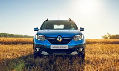 Купить бежевый Renault Sandero Stepway Stepway Life 1.6 MT (82 л.с.) 2024  по цене от 663 000 руб., Москва