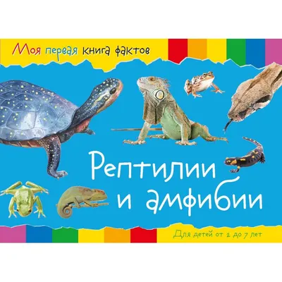 Рептилии Дагестана | Взгляд на мир через об'ектив | Дзен