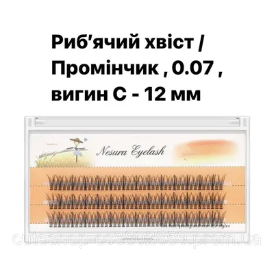 Enhance Collection Lashes 0.07mm | LashBase Inc