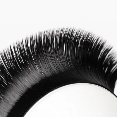 Cashmere Volume Lashes 0.07mm