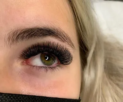 ZIDIA Cluster lashes Ресницы-пучки 10D C 0,10 (3 ленты, размер 8 мм) купить  в AmoreShop