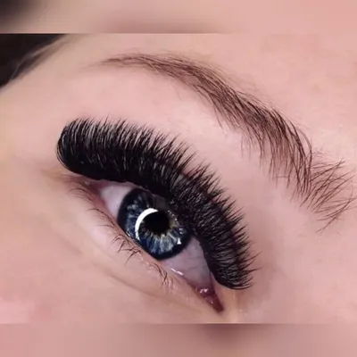 🖤 Mega Volume 12D Lash Models 🖤 I'm... - Lash Lounge Perth | Facebook