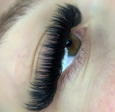 Smart Volume Eyelash Extensions | Bella Lash | Volume lashes, Volume  eyelash extensions, Eyelash extensions