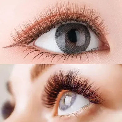 Шелковые ресницы CLD Silk Lashes MixD (T:0,07mm/L: 8,9,10,11,12,13,14mm) -  купить Черные ресницы в Германии | Черные ресницы - tuffishop