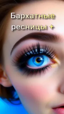 Velvet Lashes - Бархатные ресницы | Maria Kevorkova. TGC, As… | Flickr