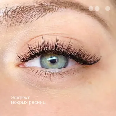 Эффект накладных ресниц - Mood lashes - Салон бровей и ресниц