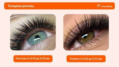 Ресницы для наращивания, черные, С - 0.15 - 10мм BestLash 146334620 купить  за 572 ₽ в интернет-магазине Wildberries