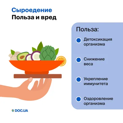 Рецепты салатов для сыроедов с пошаговым приготовлением | Женщина без  предела | Дзен