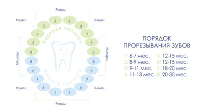 Что предпринять при прорезании зубов у детей? | Сайт города Мелитополя  619.com.ua