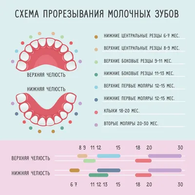 У ребенка режутся зубки: как помочь?