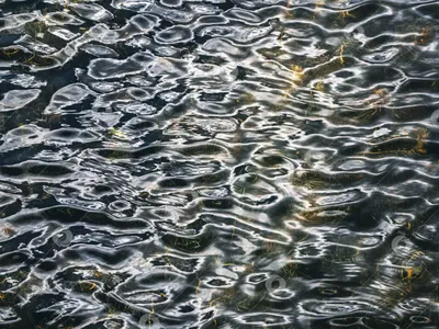 Круги на воде текстура - 29 фото