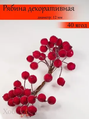 ХоббиЛент Рябина в сахаре. Декоративные ягоды. Красная