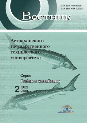 Цены разные: сколько стоит свежая рыба на Центральном рынке Ростова