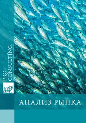 В Азовском море оккупанты погубили краснокнижный вид рыб • Портал АНТИКОР